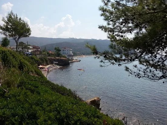 Sentiero “Antica Oliarola”