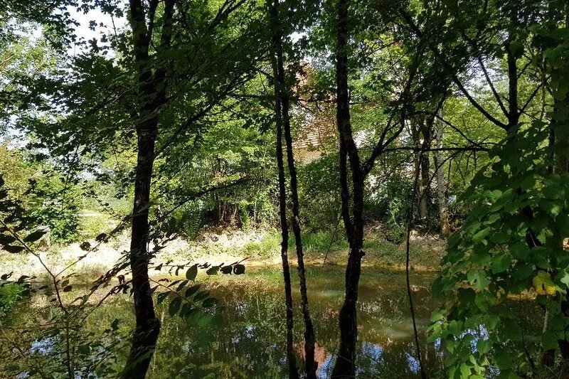 Farm building with outbuilding, heated swimming pool, secluded property