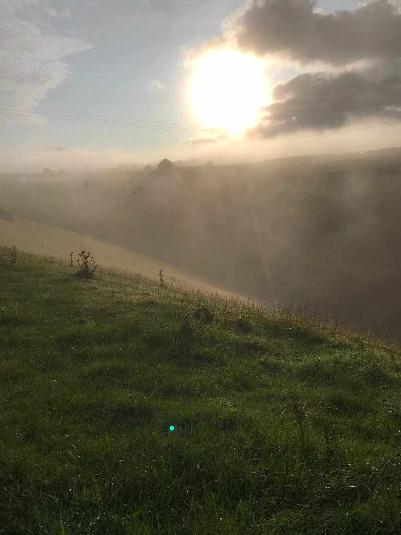Haxton Down Farm