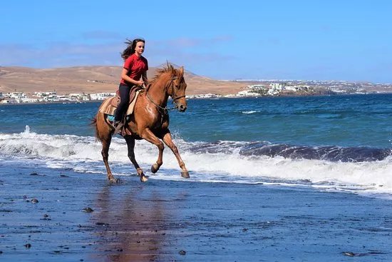 Lanzarote a Caballo