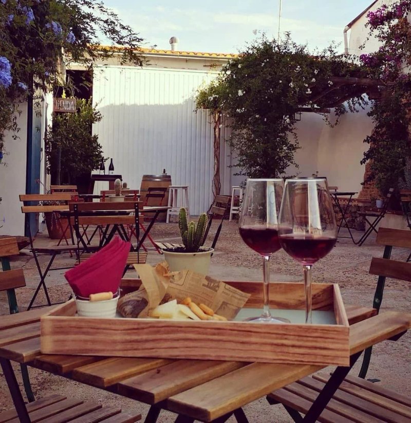 La Vinoteca de Bodegas Tierra Savia (Visitas guiadas)