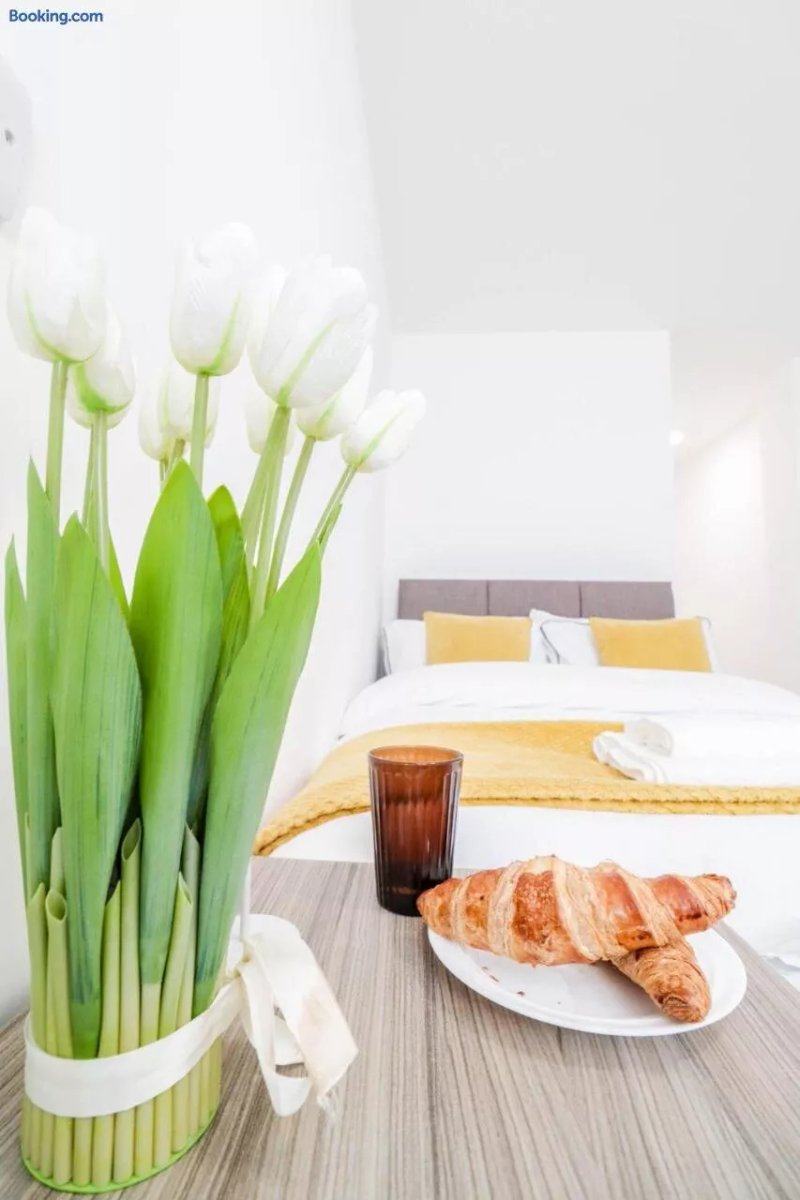 Brand New Studio Apartments