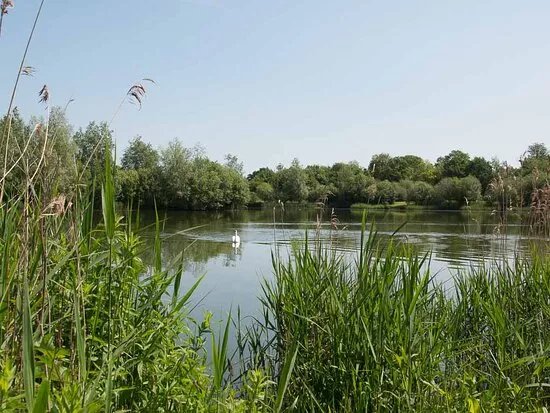 Billingford Lakes & Country Park