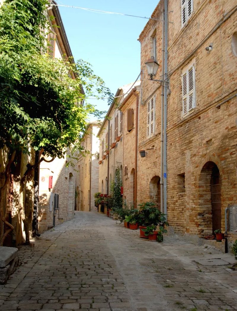 B&B Vicolo Fiorito