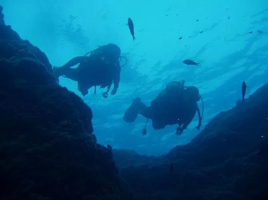Escuela de Buceo Scorpora