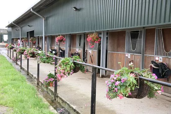 Quob Stables Equestrian Centre