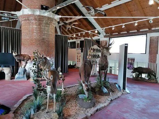 Museo La Fornace