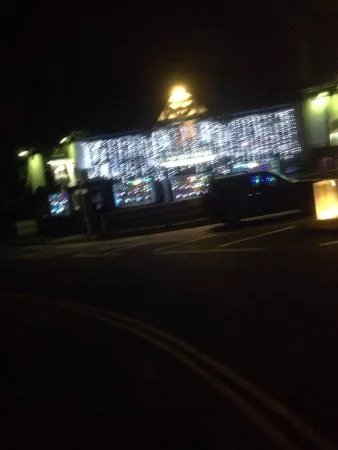 The White Bear