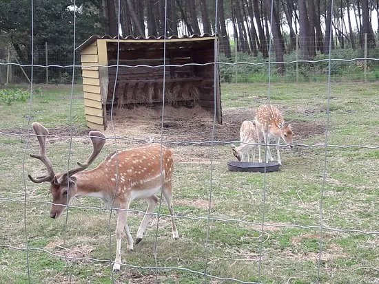 Animalia Parc