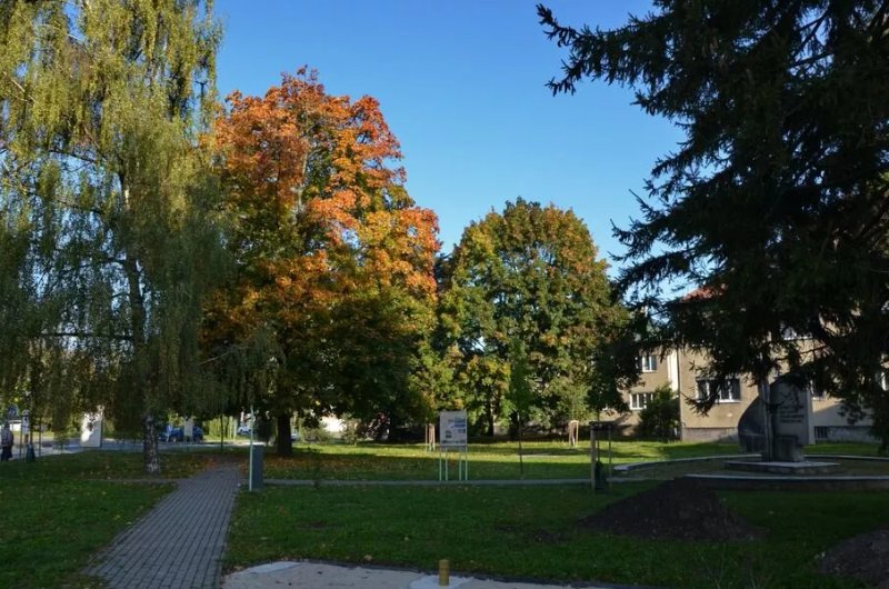 Park Carla Gustava Swenssona