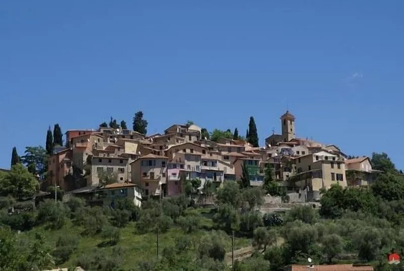 Small farmhouse in olive grove with swimming pool