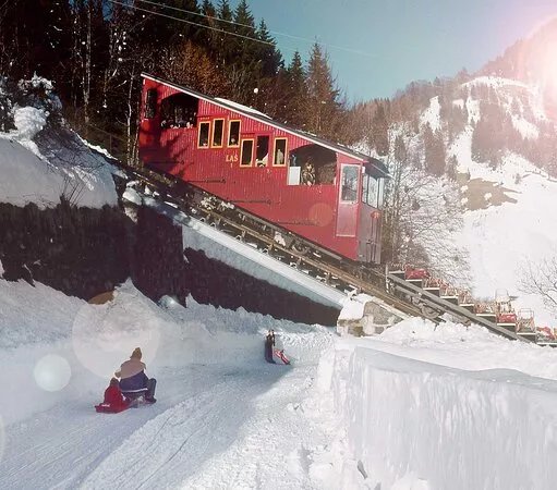 Piste de Luge Les Avants