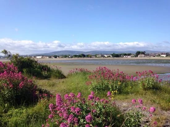 Irishtown Nature Park