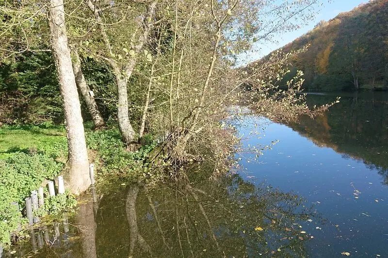 Nature and fishing lovers, house located between Châteaudun and Vendôme
