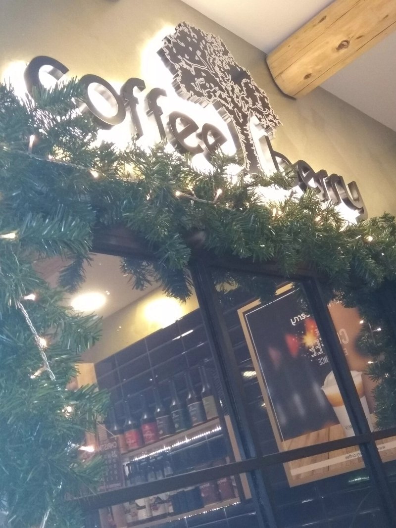 Coffee Berry