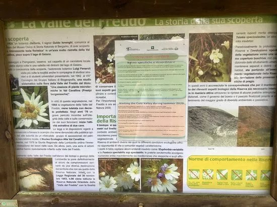 Riserva Naturale Valle Del Freddo