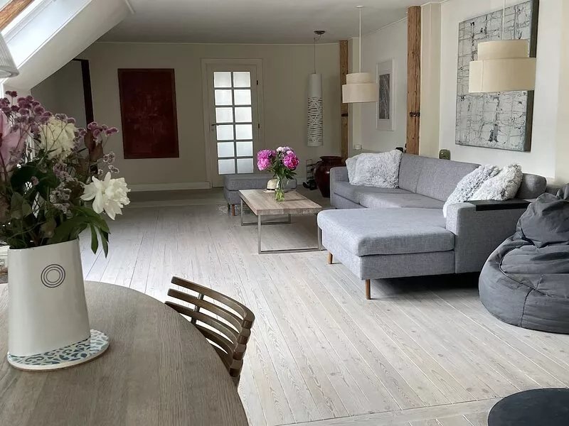 Large apartment in downtown Copenhagen