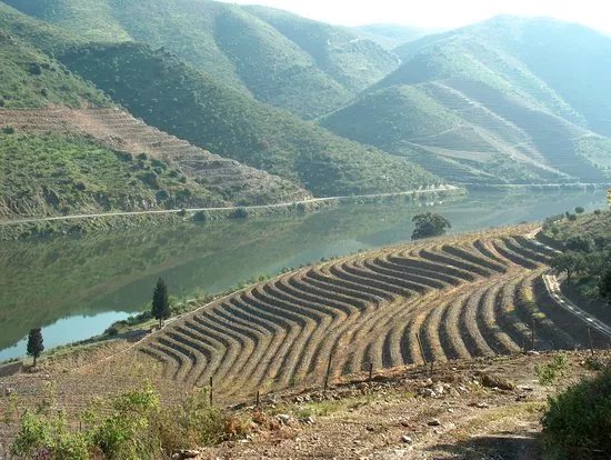 Douro River