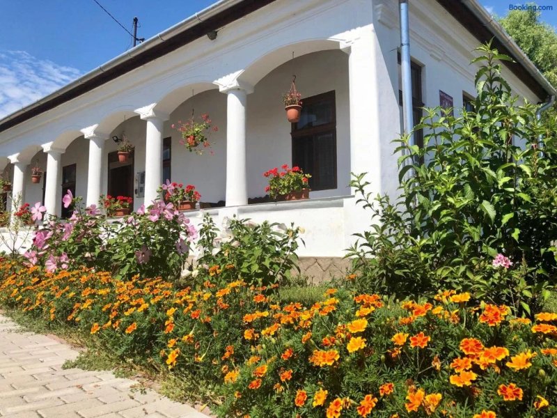Heni Vendeghaza
