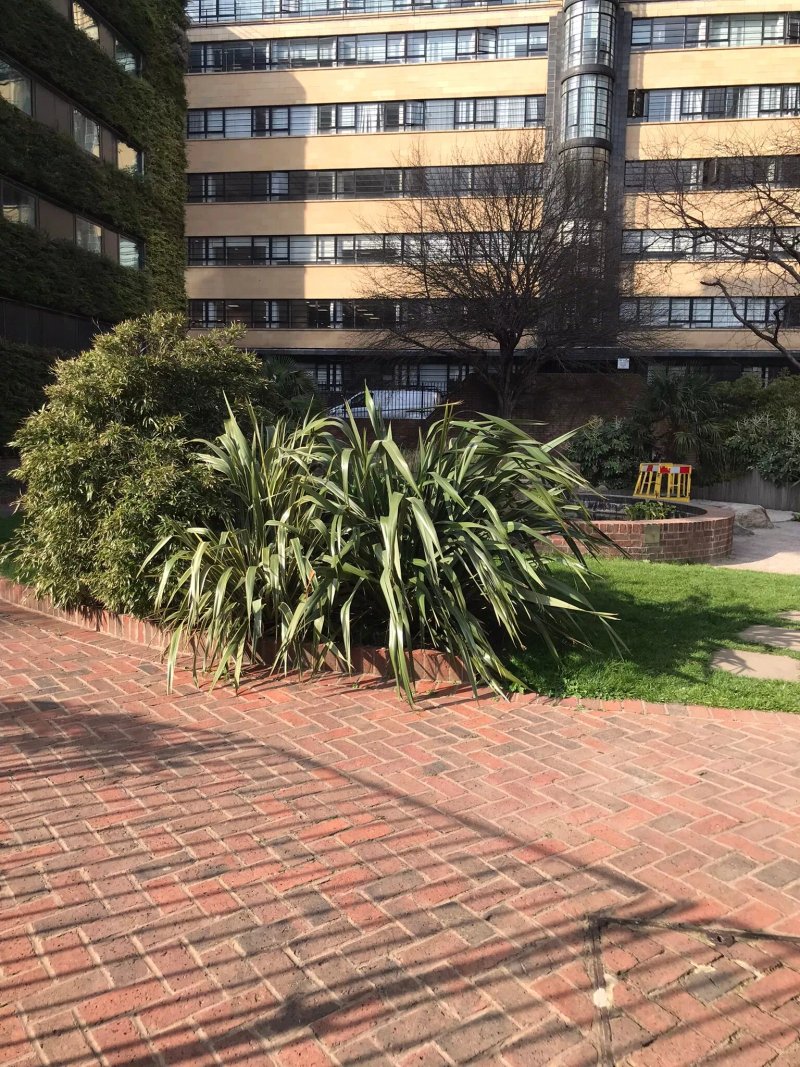 Portsoken Street Garden