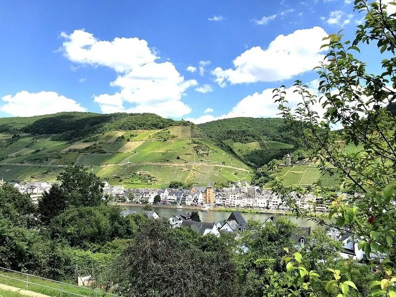 Comfortable, newly renovated apartments with a view of the Moselle