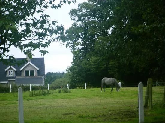 Camus Country House