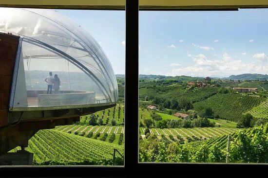 Ceretto Aziende Vitivinicole