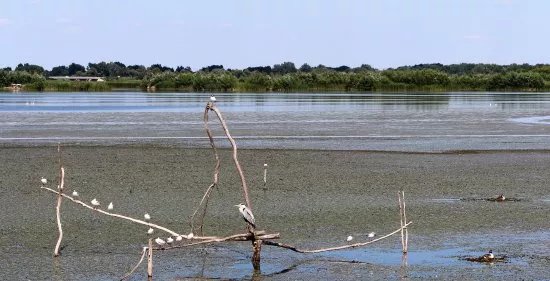 Poroszlo - Ecotour Centre