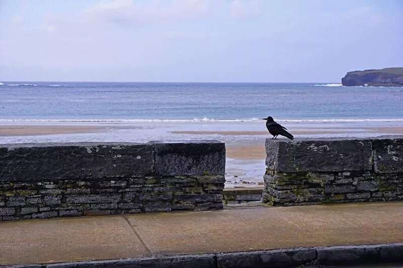 Kilkee:  "the best place to holiday in Ireland" according to the IrishTimes!