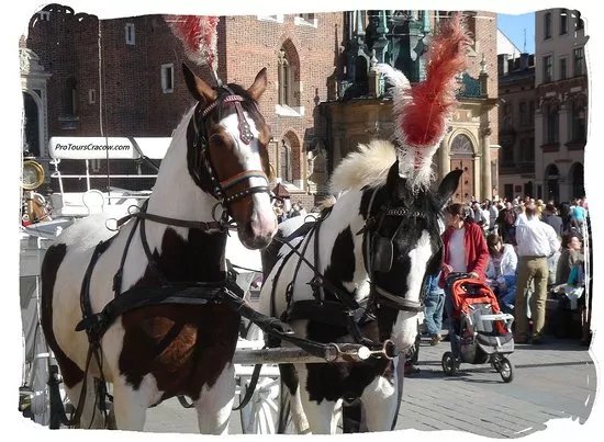Pro Tours Cracow - Day Tours