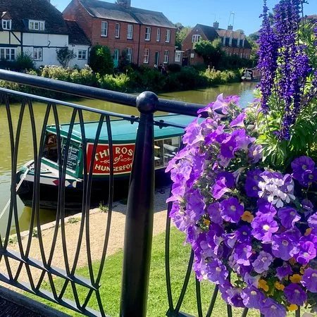The Rose of Hungerford
