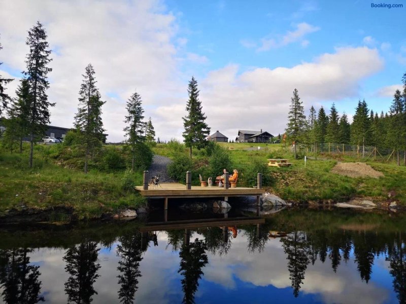 Blafjell Hundesenter Fjellhotell