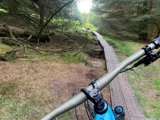 Cruagh Wood
