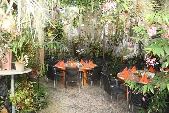 Orchideen Amsler