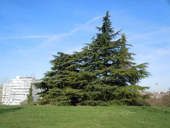 Parc des Beaumonts