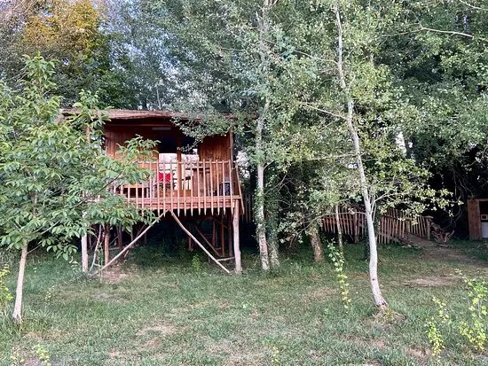 Parc Autruches Villelaure