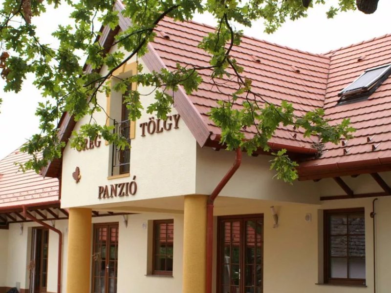 Oregtolgy Panzio