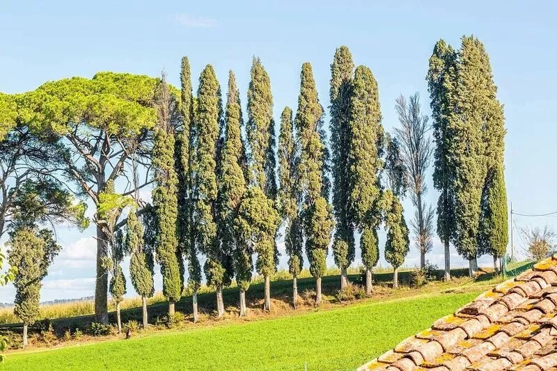 Il Casaletto In Ponsacco, Pisa and surroundings