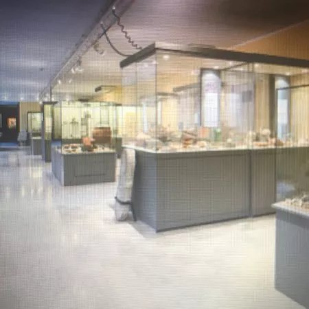 Museo Civico