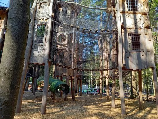 Abenteuerwald Sommerberg
