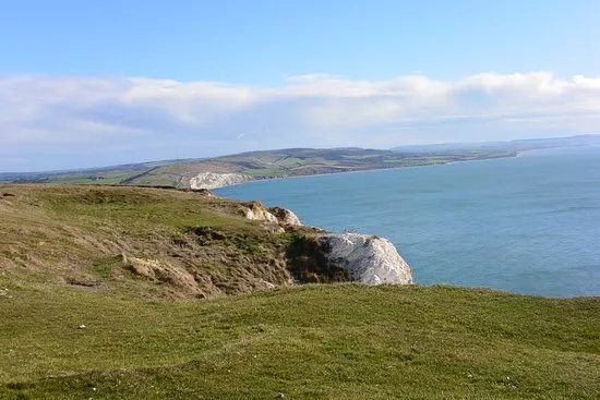 Tennyson Down