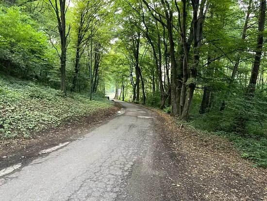Studnicka ‘Well’ Lasce