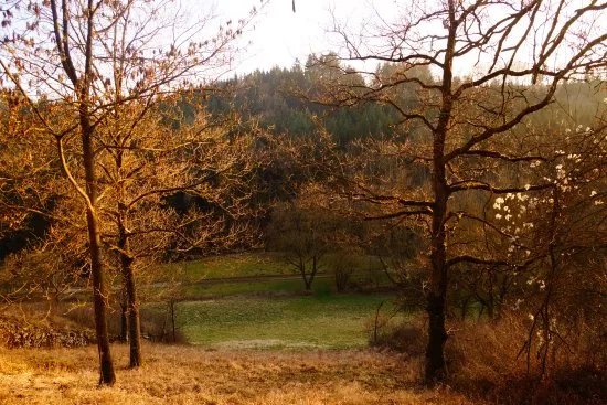 Steinbachtal