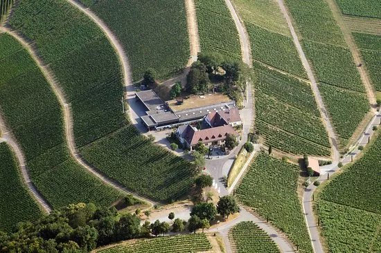 Staatsweingut Freiburg