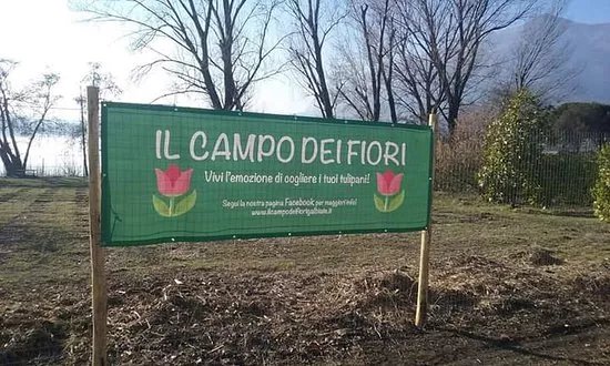 Il campo dei Fiori