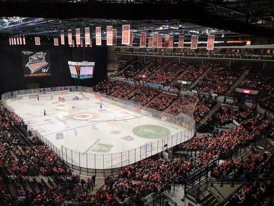 Fly DSA Arena