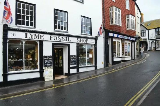 Lyme Regis Fossil Shop