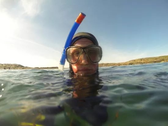 Wavesweeper Sea Adventures