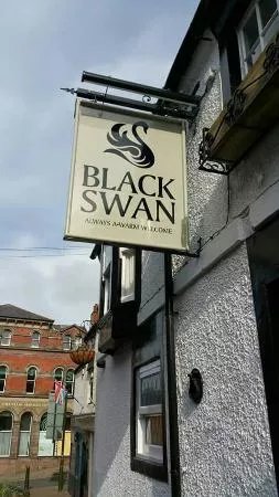 Black Swan