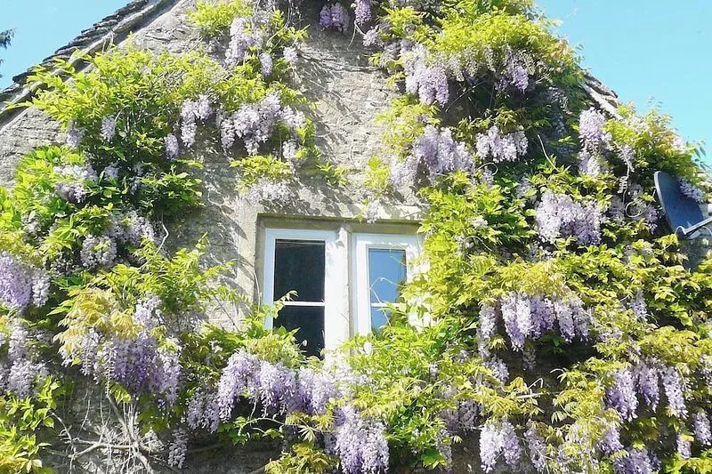 1 bedroom accommodation in Chedworth, near Cheltenham